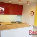 Rent 1 bedroom apartment of 28 m² in Brno