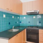 Rent 1 bedroom apartment in Ormond