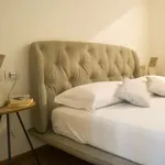 Rent 1 bedroom apartment in milan