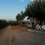 Rent 4 bedroom house of 230 m² in Δαφνούσες