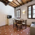 Rent 3 bedroom apartment of 60 m² in Firenze