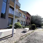 Rent 1 bedroom apartment in Brno