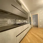 Rent 2 bedroom apartment of 81 m² in Pavia