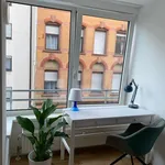 Rent 1 bedroom apartment of 18 m² in Mannheim