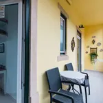 Rent 2 bedroom apartment of 109 m² in lisbon