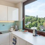 Rent 3 bedroom apartment of 50 m² in Bonn