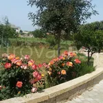 Rent 4 bedroom house of 100 m² in Galatone