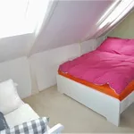 Miete 1 Schlafzimmer wohnung in Meschede