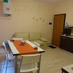 Affitto 3 camera appartamento di 75 m² in Urbino