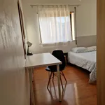 Rent 5 bedroom apartment in Coimbra