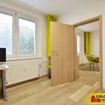 Rent 3 bedroom apartment in Brno