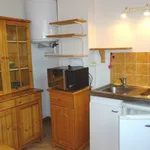 Rent 1 bedroom apartment of 24 m² in Reims