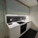 Rent 2 bedroom apartment of 65 m² in Turin