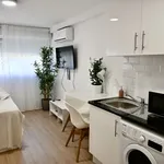 Rent 1 bedroom apartment of 30 m² in Madrid