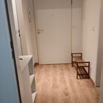 Rent 1 bedroom apartment of 30 m² in Dresden