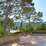 Rent 7 bedroom house of 450 m² in Palma