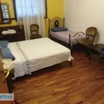 Rent 3 bedroom apartment of 80 m² in Bologna