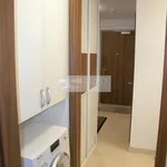 Pronajměte si 4 ložnic/e byt o rozloze 120 m² v Prague