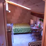 Rent 1 bedroom apartment in Bologna