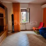 Rent 4 bedroom apartment of 120 m² in Cologno Monzese