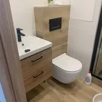 Rent 1 bedroom apartment in Ústí nad Labem