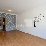 Pronájem bytu 1+1 43m²