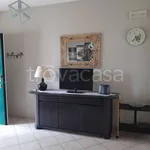 Rent 3 bedroom apartment of 75 m² in Manfredonia