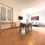 Rent 2 bedroom apartment of 50 m² in Torino