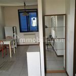 Rent 1 bedroom apartment of 35 m² in Pisa