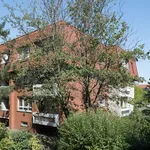 Rent 2 bedroom apartment of 56 m² in Wolfsburg