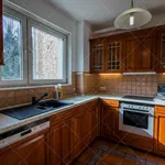 Rent 3 bedroom apartment of 117 m² in Budapest