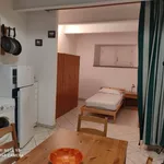 Rent 1 bedroom apartment of 35 m² in Collesalvetti