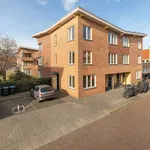 Rent 2 bedroom apartment of 106 m² in Hilversum