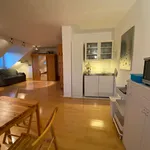 Miete 1 Schlafzimmer wohnung von 45 m² in Frankfurt am Main