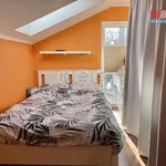 Rent 1 bedroom house of 116 m² in Dolní Břežany