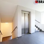 Rent 1 bedroom apartment of 28 m² in Brno