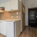 Rent 1 bedroom apartment of 22 m² in Łódź