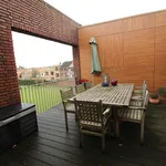 Rent 2 bedroom apartment of 146 m² in Heverlee