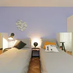 Rent 1 bedroom apartment in milan