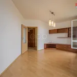 Pronajměte si 2 ložnic/e byt o rozloze 65 m² v Praha