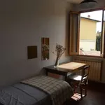 Rent a room in florence