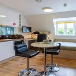 Rent 1 bedroom flat in Exeter