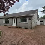 Detached bungalow to rent in Shepherds, St Newlyn East, Newquay TR8