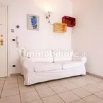 Rent 2 bedroom apartment of 50 m² in Bologna