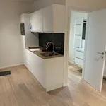 Rent 1 bedroom apartment in Gent