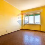 Rent 3 bedroom apartment of 94 m² in Roma