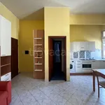 Rent 1 bedroom apartment of 35 m² in Torino