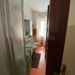 Rent 1 bedroom apartment of 30 m² in Torino