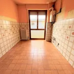 Rent 4 bedroom apartment of 120 m² in Concorezzo