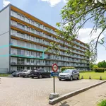 Rent 2 bedroom apartment in Edegem